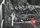 Immagine di Campagna di Russia La Russia, 1941, secondo 17 filmato di repertorio 65675066439