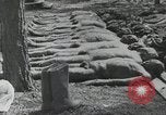 Immagine di Campagna di Russia La Russia, 1941, secondo 37 filmato di repertorio 65675066439