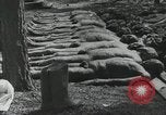 Immagine di Campagna di Russia La Russia, 1941, secondo 40 filmato di repertorio 65675066439