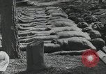 Immagine di Campagna di Russia La Russia, 1941, secondo 41 filmato di repertorio 65675066439