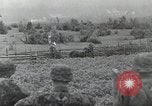 Image of Russian Campaign Russia, 1941, second 29 stock footage video 65675066440