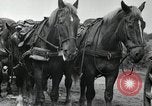 Image of Russian Campaign Russia, 1941, second 13 stock footage video 65675066444