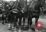 Image of Russian Campaign Russia, 1941, second 14 stock footage video 65675066444