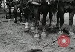 Image of Russian Campaign Russia, 1941, second 15 stock footage video 65675066444