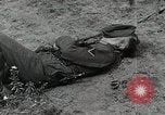 Image of Russian Campaign Russia, 1941, second 19 stock footage video 65675066444