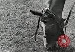 Image of Russian Campaign Russia, 1941, second 20 stock footage video 65675066444