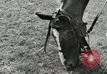 Image of Russian Campaign Russia, 1941, second 21 stock footage video 65675066444
