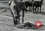 Image of Russian Campaign Russia, 1941, second 23 stock footage video 65675066444