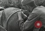 Image of Russian Campaign Russia, 1941, second 31 stock footage video 65675066444