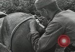 Image of Russian Campaign Russia, 1941, second 32 stock footage video 65675066444