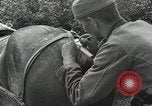 Image of Russian Campaign Russia, 1941, second 33 stock footage video 65675066444