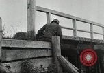 Immagine di Invasione di Estonia Estonia, 1941, secondo 21 filmato di repertorio 65675066446