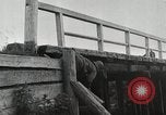Immagine di Invasione di Estonia Estonia, 1941, secondo 27 filmato di repertorio 65675066446