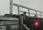 Immagine di Invasione di Estonia Estonia, 1941, secondo 28 filmato di repertorio 65675066446