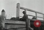 Immagine di Invasione di Estonia Estonia, 1941, secondo 29 filmato di repertorio 65675066446