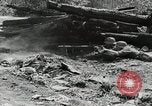 Immagine di Invasione di Estonia Estonia, 1941, secondo 43 filmato di repertorio 65675066446