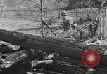 Immagine di Invasione di Estonia Estonia, 1941, secondo 60 filmato di repertorio 65675066446