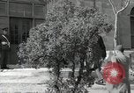 Standbild Konferenz von Malta Malta, 1945, aus Sekunde 33 historischem Filmmaterial Videoclip 65675066452