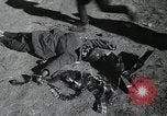 Image la réacquisition de Kertch La péninsule de Kerch la République socialiste soviétique autonome de Crimée, 1944, de la seconde 59 séquences d'archives historiques vidéo 65675066461