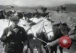 Image of Guerrillas Crimean Autonomous Soviet Socialist Republic, 1944, second 32 stock footage video 65675066463