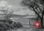 Image of Red Army soldiers Yalta Crimea Ukraine, 1944, second 3 stock footage video 65675066465