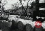 Image of Red Army soldiers Yalta Crimea Ukraine, 1944, second 16 stock footage video 65675066465