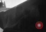 Image of Red Army soldiers Yalta Crimea Ukraine, 1944, second 55 stock footage video 65675066465