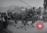 Standbild deutschen Flüchtlinge Sowjetunion, 1945, aus Sekunde 12 historischem Filmmaterial Videoclip 65675066468