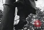 Image of Yalta Conference Crimea Ukraine, 1945, second 47 stock footage video 65675066477