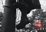 Image of Yalta Conference Crimea Ukraine, 1945, second 48 stock footage video 65675066477