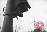 Image of Yalta Conference Crimea Ukraine, 1945, second 54 stock footage video 65675066477
