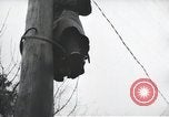 Image of Yalta Conference Crimea Ukraine, 1945, second 57 stock footage video 65675066477