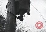 Image of Yalta Conference Crimea Ukraine, 1945, second 59 stock footage video 65675066477