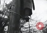 Image of Yalta Conference Crimea Ukraine, 1945, second 62 stock footage video 65675066477