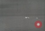 Standbild Airborne leben Boot United States USA, 1944, aus Sekunde 57 historischem Filmmaterial Videoclip 65675066481