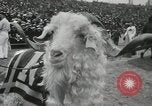Image Navy versus Notre Dame football game Baltimore Maryland USA, 1944, de la seconde 7 séquences d'archives historiques vidéo 65675066484