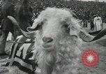 Image Navy versus Notre Dame football game Baltimore Maryland USA, 1944, de la seconde 8 séquences d'archives historiques vidéo 65675066484