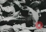 Immagine di Luogo di Bolsheniks e Rivoluzione Russa La Russia, 1917, secondo 33 filmato di repertorio 65675066488