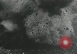 Immagine di Luogo di Bolsheniks e Rivoluzione Russa La Russia, 1917, secondo 38 filmato di repertorio 65675066488