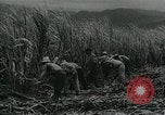 Standbild Kubanische Revolution Havanna Kuba, 1959, aus Sekunde 5 historischem Filmmaterial Videoclip 65675066496