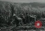 Standbild Kubanische Revolution Havanna Kuba, 1959, aus Sekunde 6 historischem Filmmaterial Videoclip 65675066496