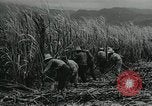 Standbild Kubanische Revolution Havanna Kuba, 1959, aus Sekunde 7 historischem Filmmaterial Videoclip 65675066496