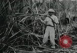 Standbild Kubanische Revolution Havanna Kuba, 1959, aus Sekunde 9 historischem Filmmaterial Videoclip 65675066496