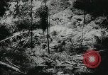 Standbild Kubanische Revolution Havanna Kuba, 1959, aus Sekunde 39 historischem Filmmaterial Videoclip 65675066496