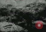Standbild Kubanische Revolution Havanna Kuba, 1959, aus Sekunde 43 historischem Filmmaterial Videoclip 65675066496