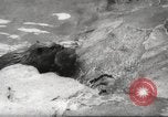 Standbild Biber Zürich Schweiz, 1958, aus Sekunde 21 historischem Filmmaterial Videoclip 65675066502