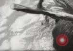 Standbild Biber Zürich Schweiz, 1958, aus Sekunde 29 historischem Filmmaterial Videoclip 65675066502