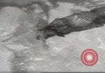 Standbild Biber Zürich Schweiz, 1958, aus Sekunde 31 historischem Filmmaterial Videoclip 65675066502