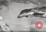 Standbild Biber Zürich Schweiz, 1958, aus Sekunde 32 historischem Filmmaterial Videoclip 65675066502