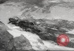 Standbild Biber Zürich Schweiz, 1958, aus Sekunde 34 historischem Filmmaterial Videoclip 65675066502